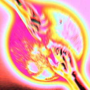 Модный дом