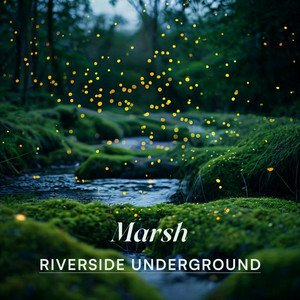 Marsh by Riverside Underground