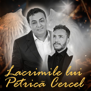 Florin Cercel - Lacrimile Lui Petrica Cercel