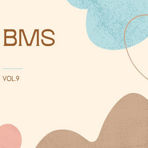 BMSX by BMS Album Cover