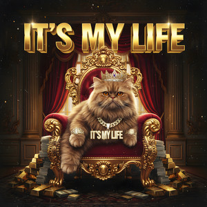 It's My Life - Radio Raymix by Geo Da Silva, Canello
