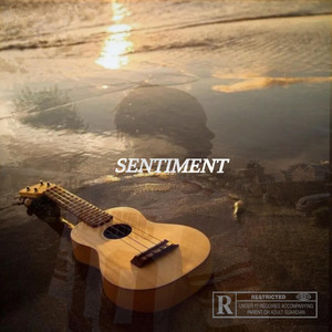 Portada de SENTIMENT