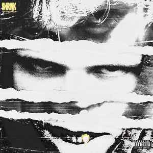 Shrink by Ben West, Ricky Hil