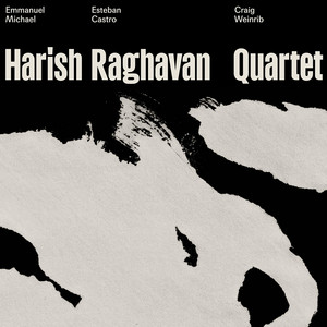 The Age Of by Harish Raghavan
