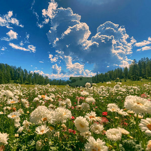Deposit by Melody Clouds