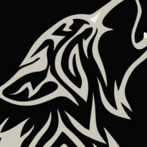 Deflector by Among Wolves