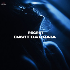 Regret by davit barqaia