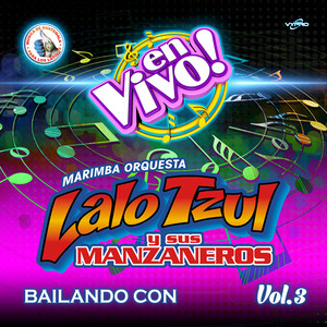 Bailando Con Vol. 3. Música de Guatemala para los Latinos (En Vivo)