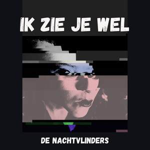 Ik zie je wel by De Nachtvlinders