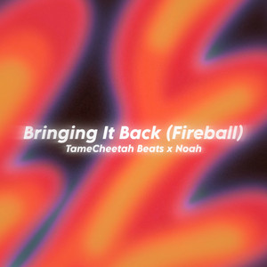Bringing It Back (Fireball) - Jersey Club by TameCheetah Beats, noahh