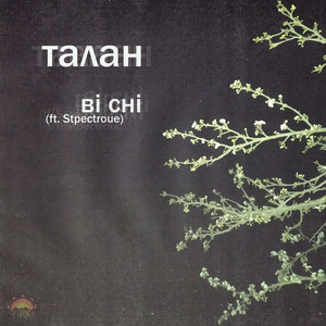 Bi CHI