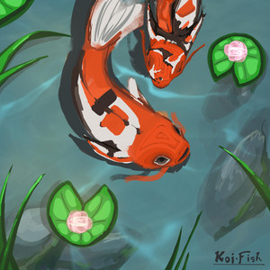 Koi Fish