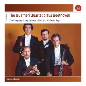 String Quartet No. 14 in D Minor, D.810, Death and the Maiden: I