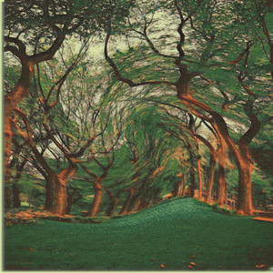 Peaceful Ambient Psychedelic Ways - Relaxing Psychedelic Nature Ambience