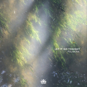 Let It Go Tonight by Palmera