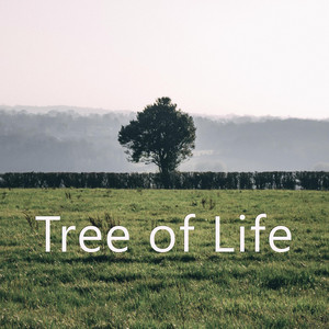 Oshtein - Epic Beautiful Motivational Cinematic