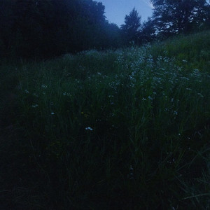 dreams by Ønedream