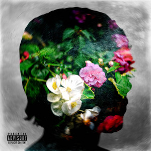 Portada de Silhouettes