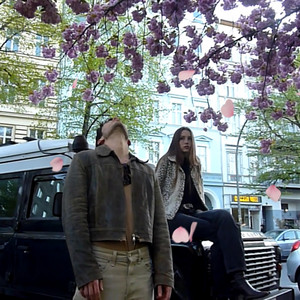 kirschblüten by Snense