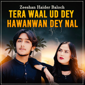 Zeeshan Haider Baloch - Tera Waal Ud Dey Hawanwan Dey Nal