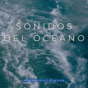 Sonidos Del Océano: Agua Burbujeante De La Playa album