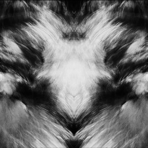 AUTOTERAPIA by Erfa, Vame, Jacq Romeo