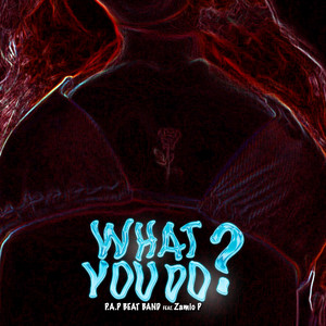 P.A.P BEAT BAND - What You Do (feat. Zamio P)