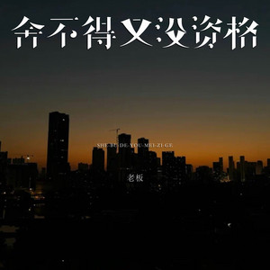 舍不得又没资格 - DJEva版 by 老板, DJEva