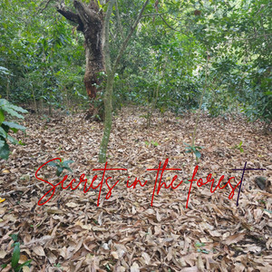 Secrets in the Forest by Duffyz Ferrezd