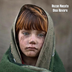 Hozan Necato - Disa Havare