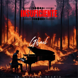 INSUFICIENTE