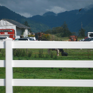 you make my eyes drool