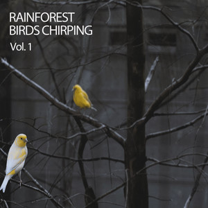 Rainforest Birds Chirping Vol. 1 album