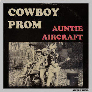 Auntie Aircraft