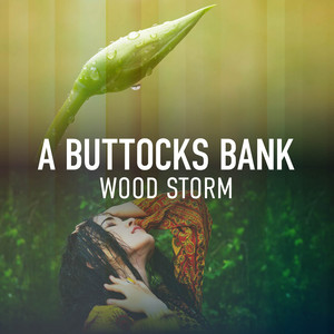 A Buttocks Bank Wood Storm album