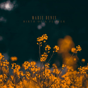 Birth of A Flower by Marie Denis