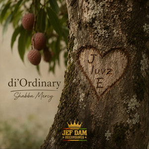 Di’ordinary by Shabba Mercy