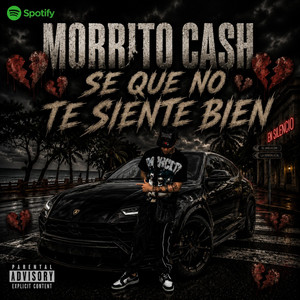 SE QUE NO TE SIENTE BIEN by Morbito Cash