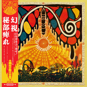 Invocation and Ritual Dance of the Electric Nonsense by Hibushibire