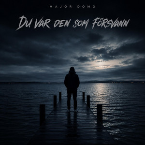 Du var den som försvann by Major Domo
