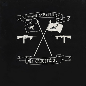 Spirit of Rebellion cover