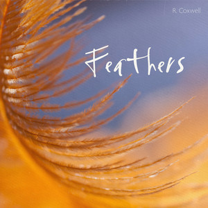 Feathers