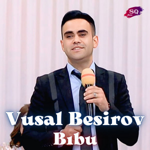 Vusal Besirov - Bıbu