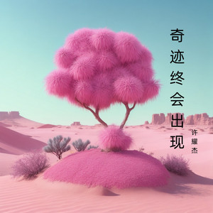 奇迹终会出现