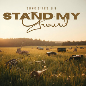 Stand My Ground by Sounds of Voss' Life