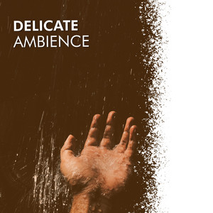 # 1 Album: Delicate Ambience album