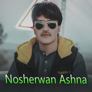 Nosherwan Ashna - Pa Ghara Lawang Dane Dane