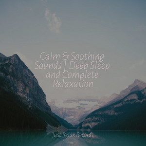 Calm & Soothing Sounds | Deep Sleep and Complete Relaxation