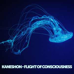 Flight of Consciousness by Kaneshon