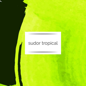 sudor tropical by DJ sanqk